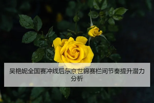 吴艳妮全国赛冲线后东京世锦赛栏间节奏提升潜力分析